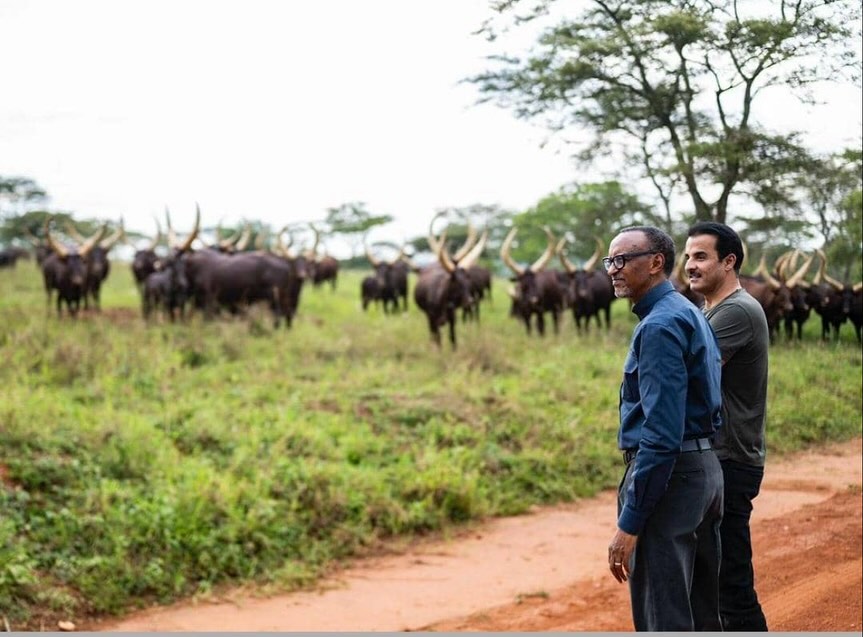 City Tours - Activity