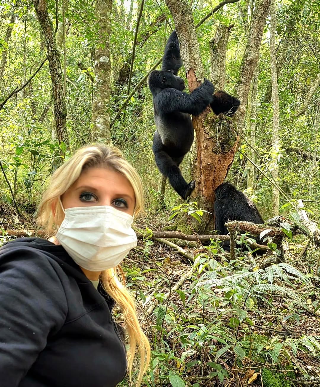 Nyungwe National Park - Planning