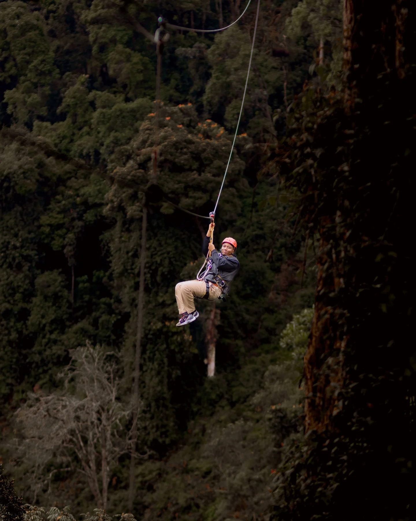 Nyungwe National Park