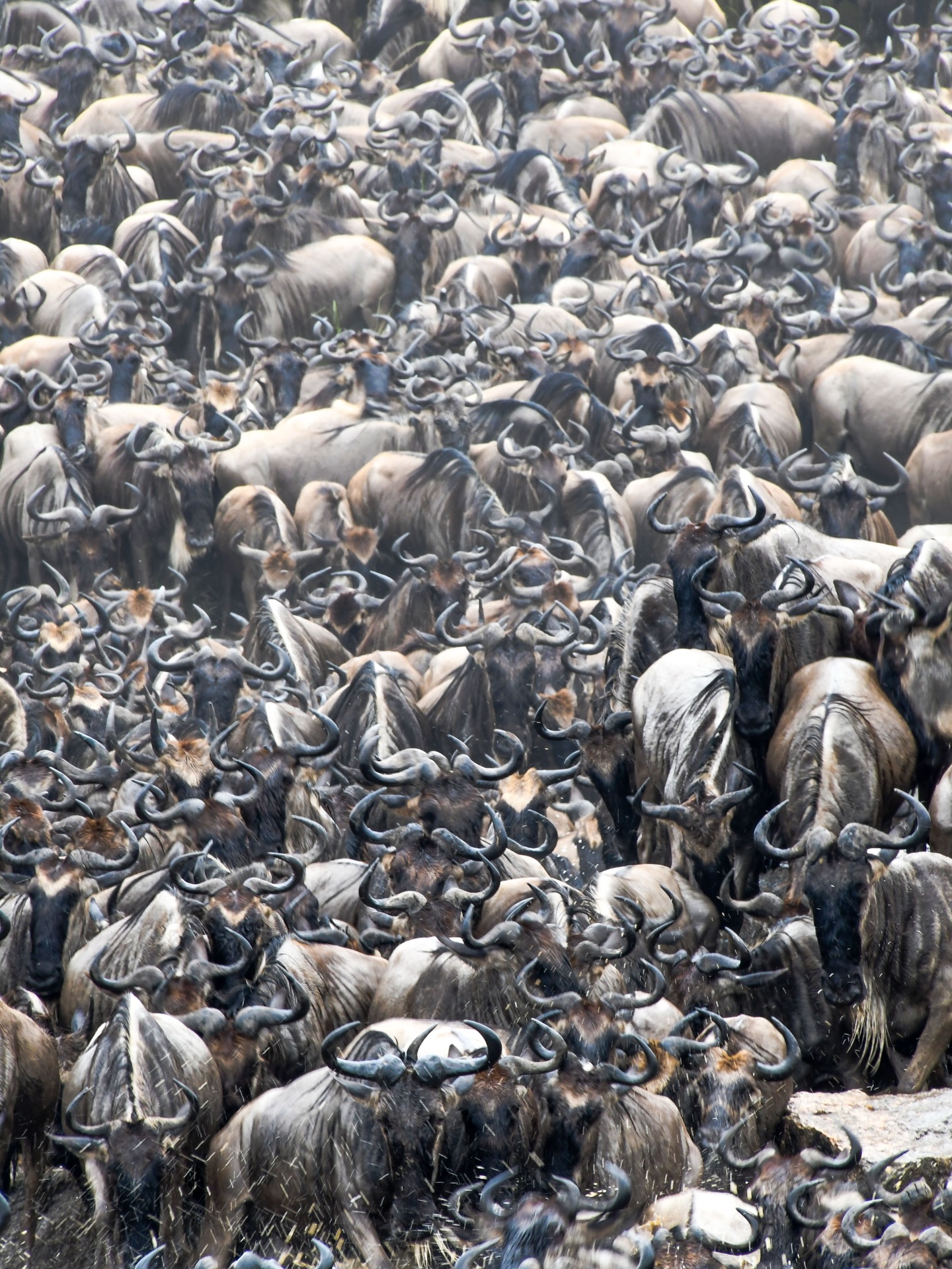 Serengeti National Park